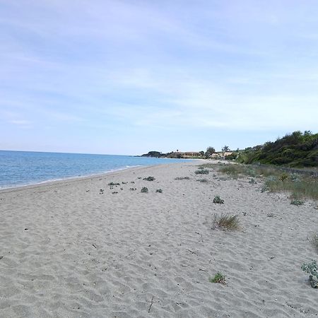 Terres De France - Les Hauts Du Maquis Linguizzetta Kültér fotó
