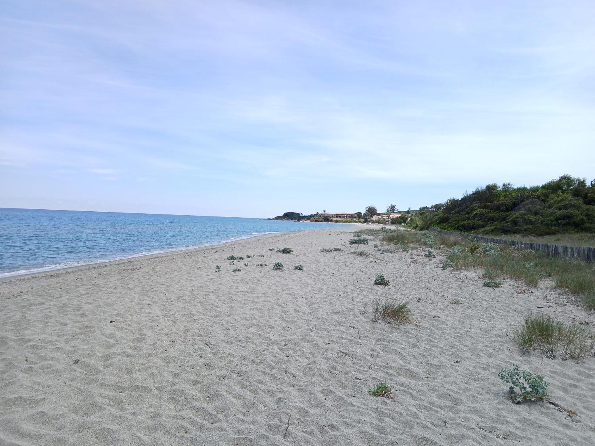 Terres De France - Les Hauts Du Maquis Linguizzetta Kültér fotó